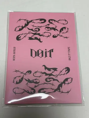 StrayKids 스키즈 POPUP Do it 스티커 방찬