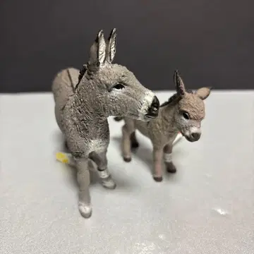 슐라이히 로바의 부모