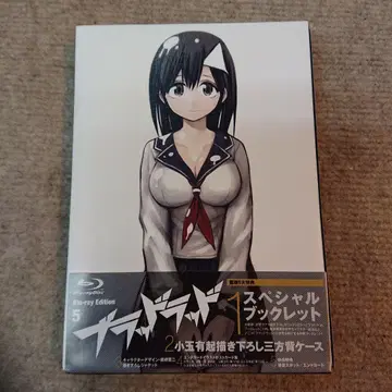 브래드라드 제5권