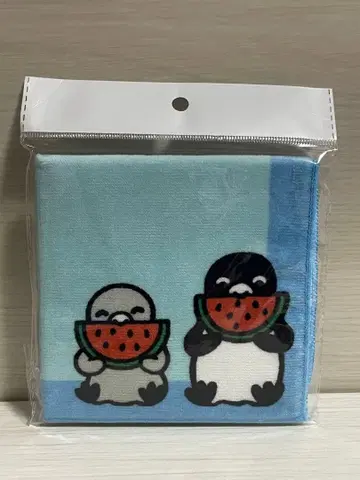 Suica's Penguin 펭귄 핸드 타월 수박 면 100%