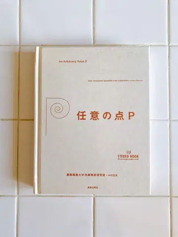 임의의 점 P / 3D 스테레오 북