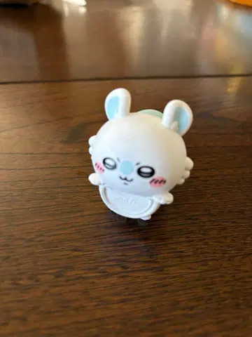 치이카와 히퍼스 모몽가