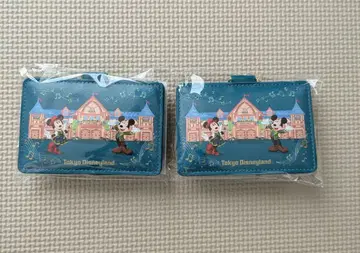 JAL 도쿄 디즈니랜드 넥스트랩 부착 패스 케이스 2점