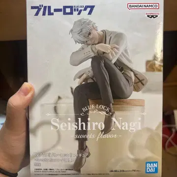 나기 세이시로 피규어