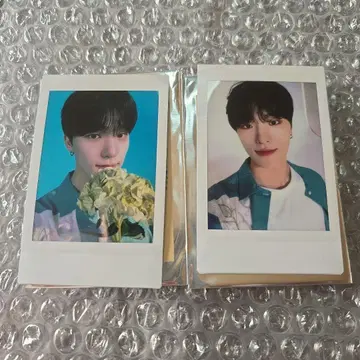 SEVENTEEN 디노 HANABI 인스턴트 사진