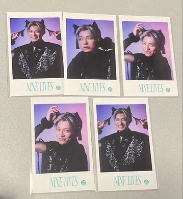 초특급 NINE LIVES 미니 사진 알로하