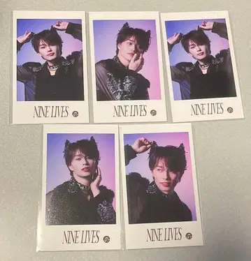 초특급 NINE LIVES 미니 사진 마사히로