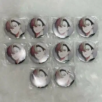 비바렌 커버 아트 레온 10개