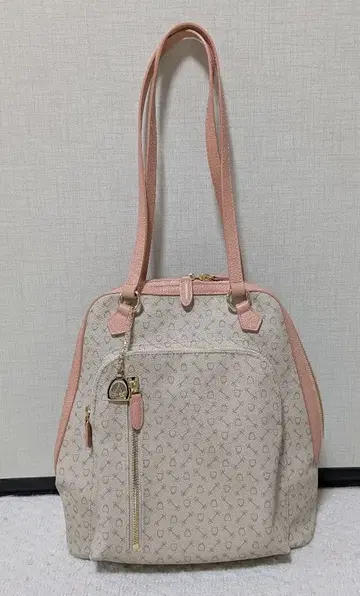 Why 호와이 지오메트릭 2WAY 백팩 숄더