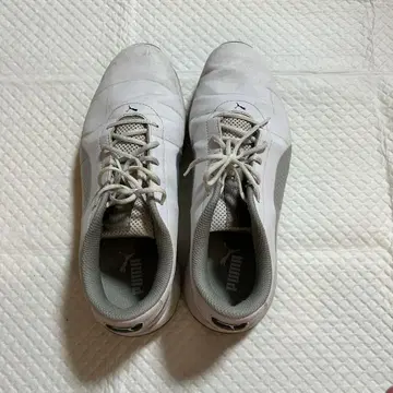 25.5cm Puma 화이트 골프화