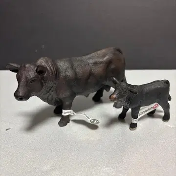 슐라이히 블랙 앵거스 소 부모와 자식