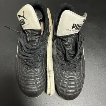 PUMA 파라메히코 단종