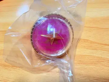 프로세카 세카라이 5th 라이트 링 린 라이트 호우 에무