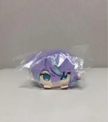 니지산지 호시미치 쇼 극락탕 모치코로링