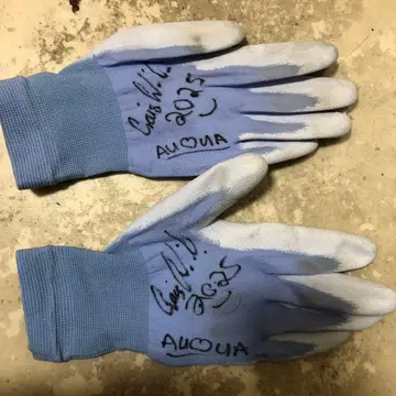 파란색 사인 포함 장갑 2023년 모델