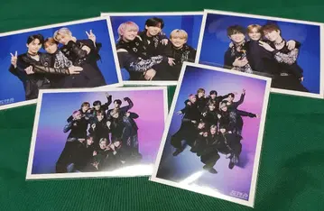 초특급 NINE LIVES 브로마이드 연결 집합 세트