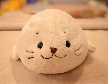 시로땅 봉제 인형 초기