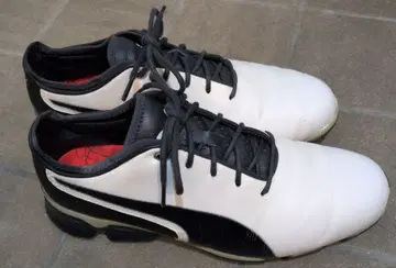 PUMA IGNITE PROADAPT 골프화