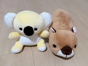 코알라와 카피바라 봉제 인형 세트