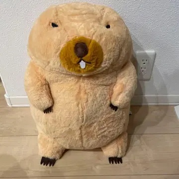 미사용품 마모트의 모토토 모아! 보바 군 봉제 인형