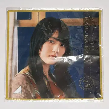 카키 하루카 미니 타월 찬스는 평등