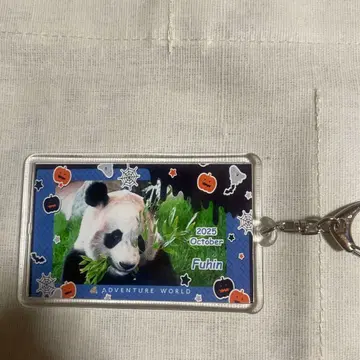 어드벤처 월드 팬더 10월 한정판 후이빈 키링