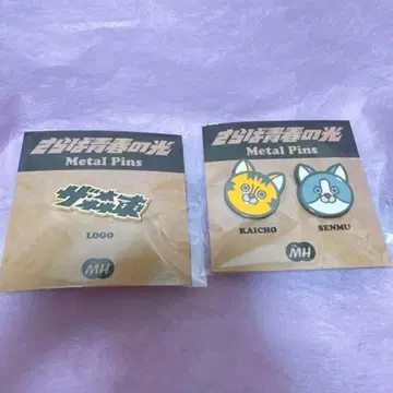 사라바 청춘의 빛 스테고로 핀 배지