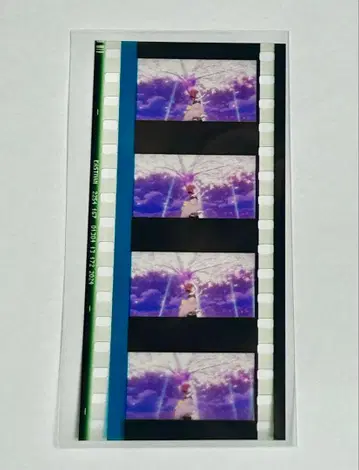 영화 니지가사키 제2장 필름 조각 테노지 리나