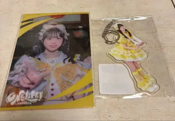 iLife 복권 후쿠마루 우사 2종 세트