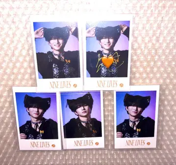 초특급 하루 카시와기 유 미니 사진 사인 세미 컴프