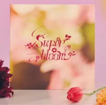 스타포니 혜택 팜플렛