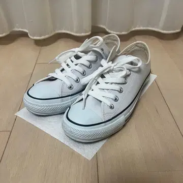 새상품급 converse 가죽 올스타 옥스 WHITE