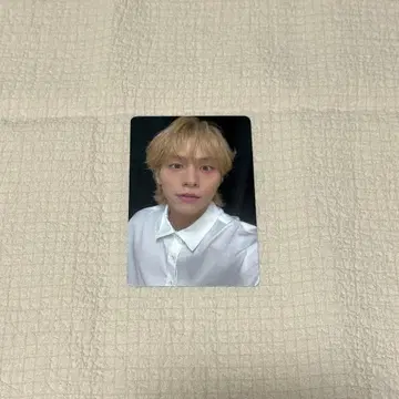 WILD BLUE 야마시타 코키 트레이딩 카드