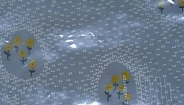 미나 페르호넨 ballade 파니니 라이트 블루 ballade