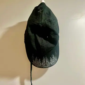 여왕벌 성전 굿즈 캡 은등 silver wisteria qb