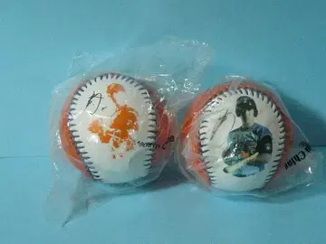 스기타니 켄시 시크릿 사진 공 파이터즈 1