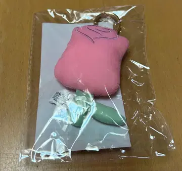 TXT 범규 군의 플러시 키링.