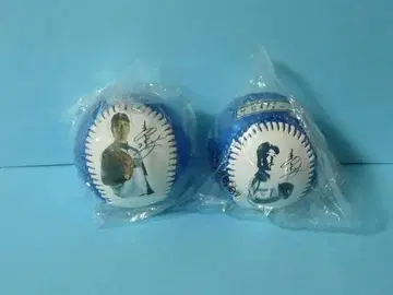 미야니시 나오키 시크릿 사진 공 파이터즈