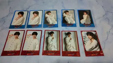 진로우 배틀 폴라로이드풍 카드 후카마치 토시나리