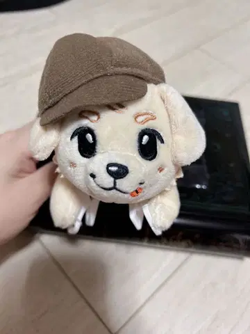 록키 이와타 타카노리