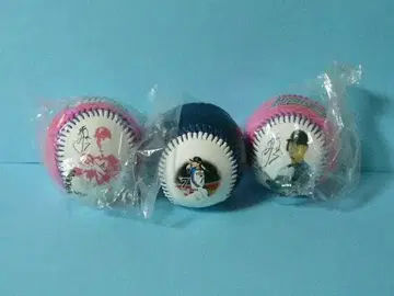 니시카와 하루키 시크릿 포토볼 파이터즈