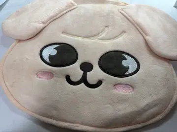 Stray Kids 승민 부채 케이스 부채 커버