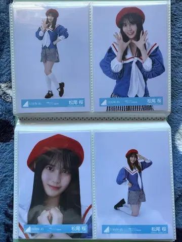 히나타자카46 부탁 바흐 재킷 브로마이드 마츠오 사쿠라 컴프