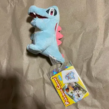 포켓몬 센터 포켓몬 캔버스 와니노코 봉제 인형