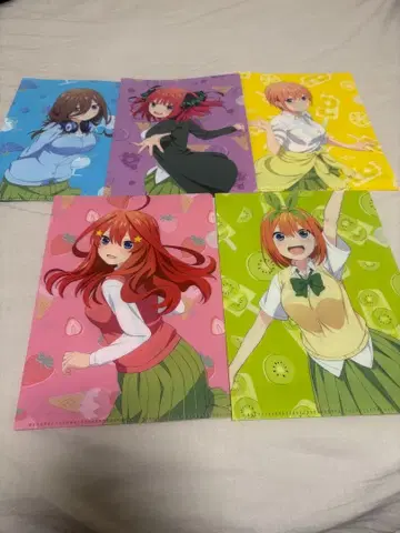 5등분의 신부 클리어 파일 5장 세트