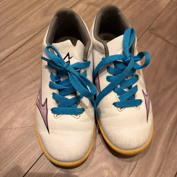 미즈노 알파 실내 신발