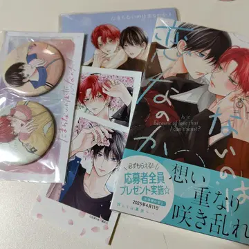 견딜 수 없는 것은 사랑인가 쿠우게 미아