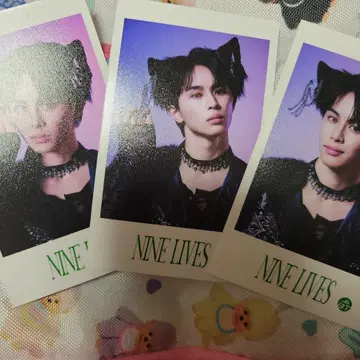 NINELIVES 미니 사진 타쿠야