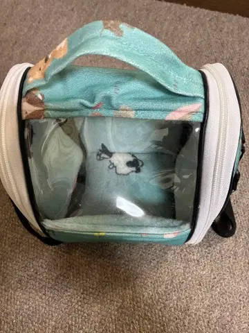 작은 새 칼리 백