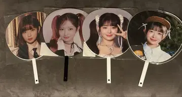 ive 레이 부채 세트